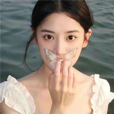 欢迎来到丛林